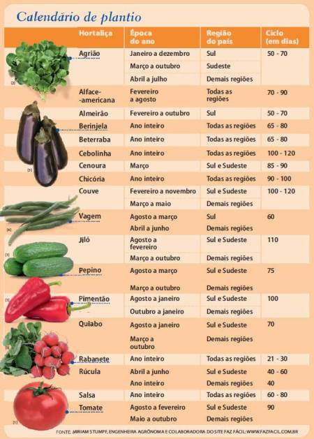 legumes-e-verduras-cultivados-Pop1
